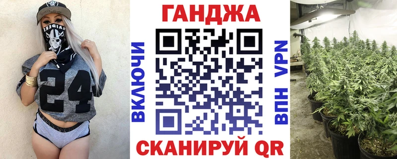 Конопля сатива  Каменногорск 