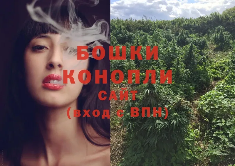 Бошки Шишки конопля  Каменногорск 